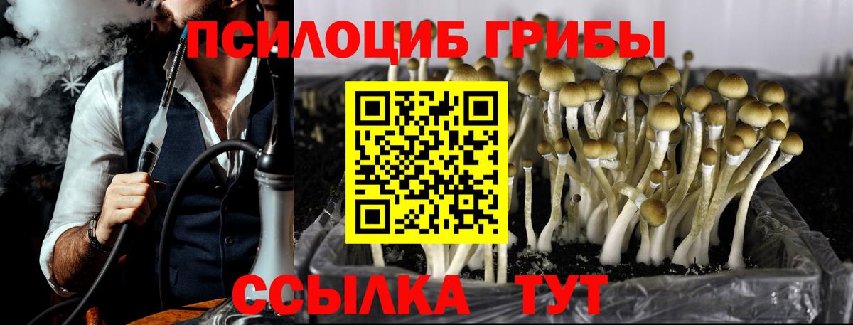 Псилоцибиновые грибы мухоморы Узловая
